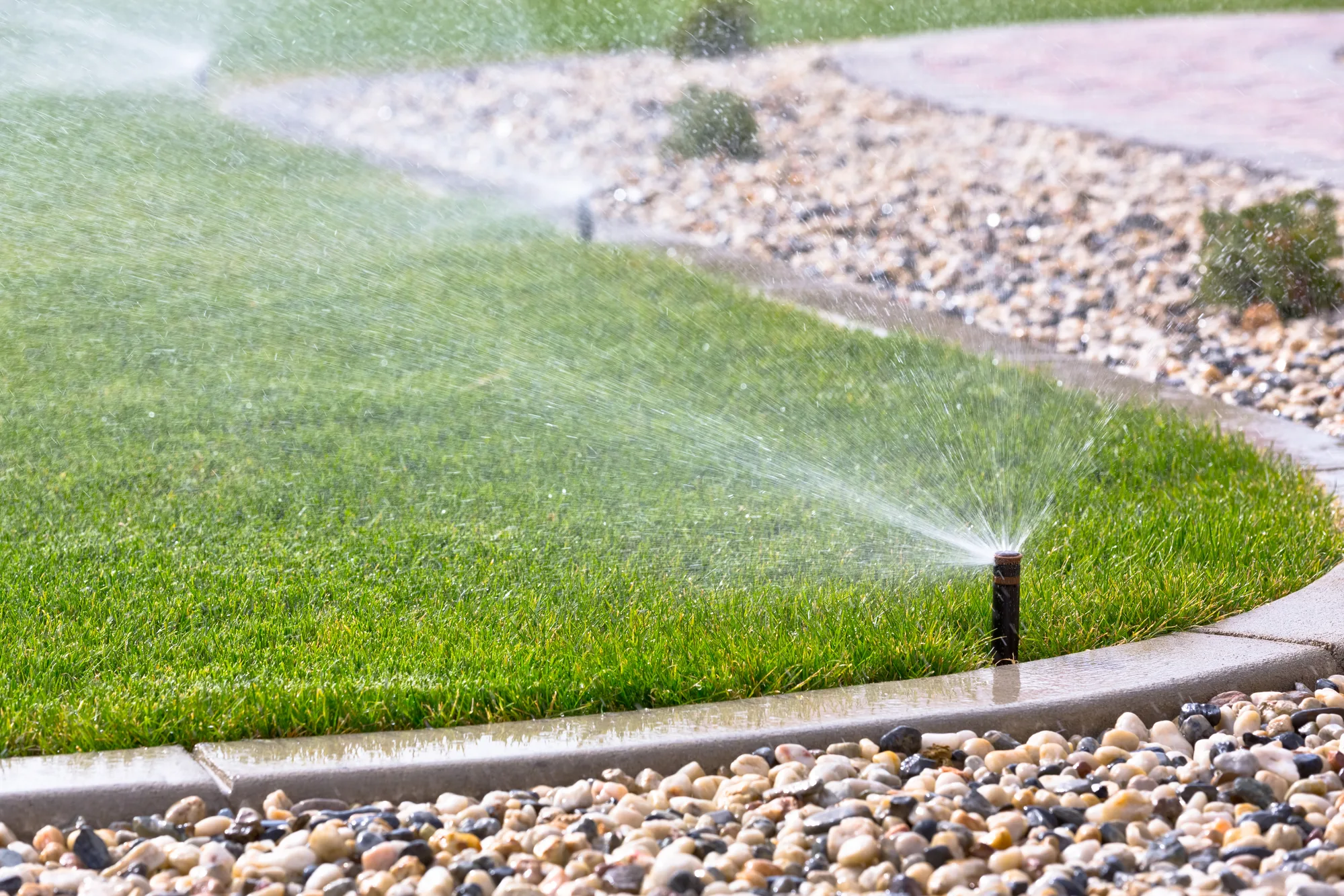 Garden irrigation system watering a garden bed