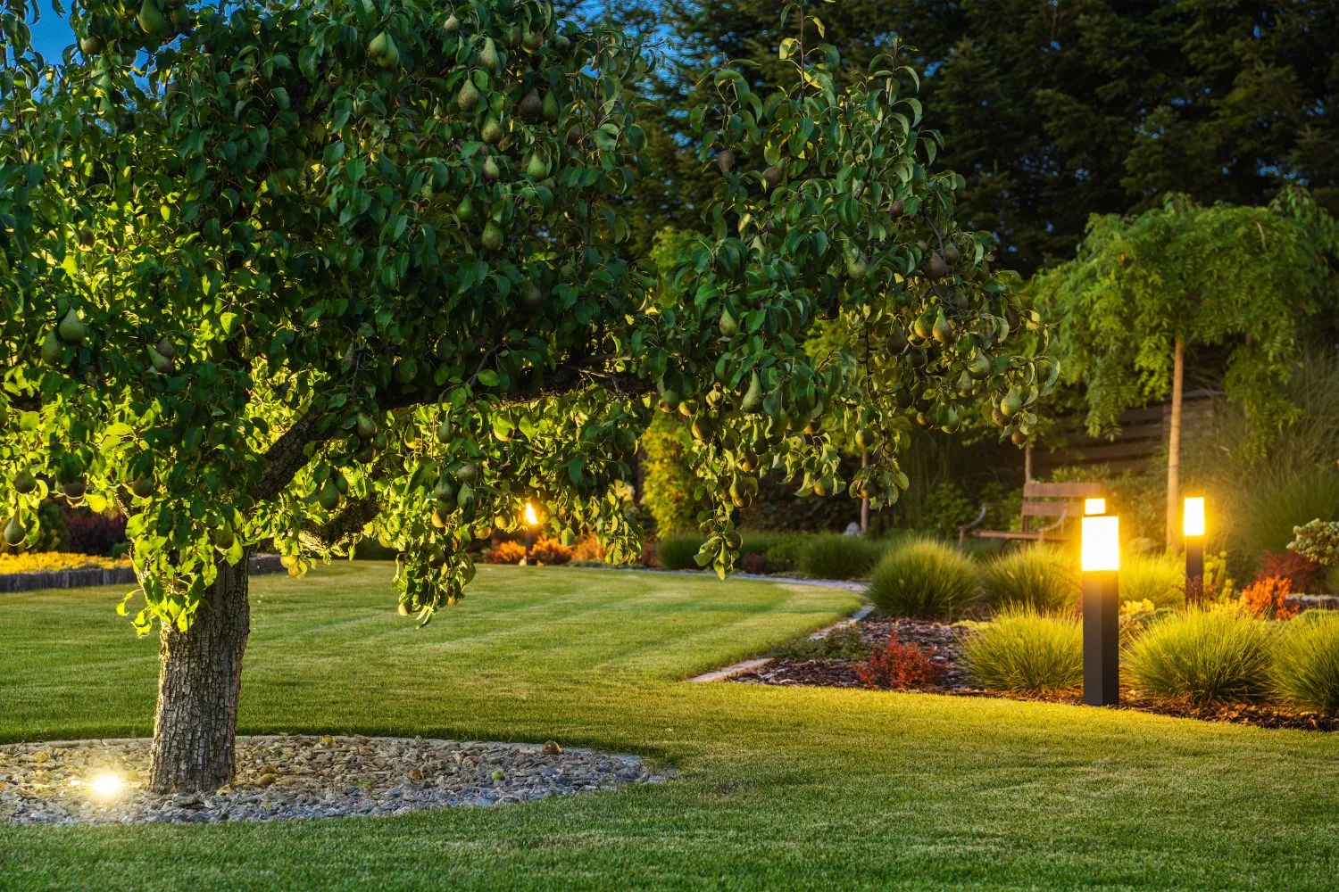 Garden bed with feature lighting along a lawn edge