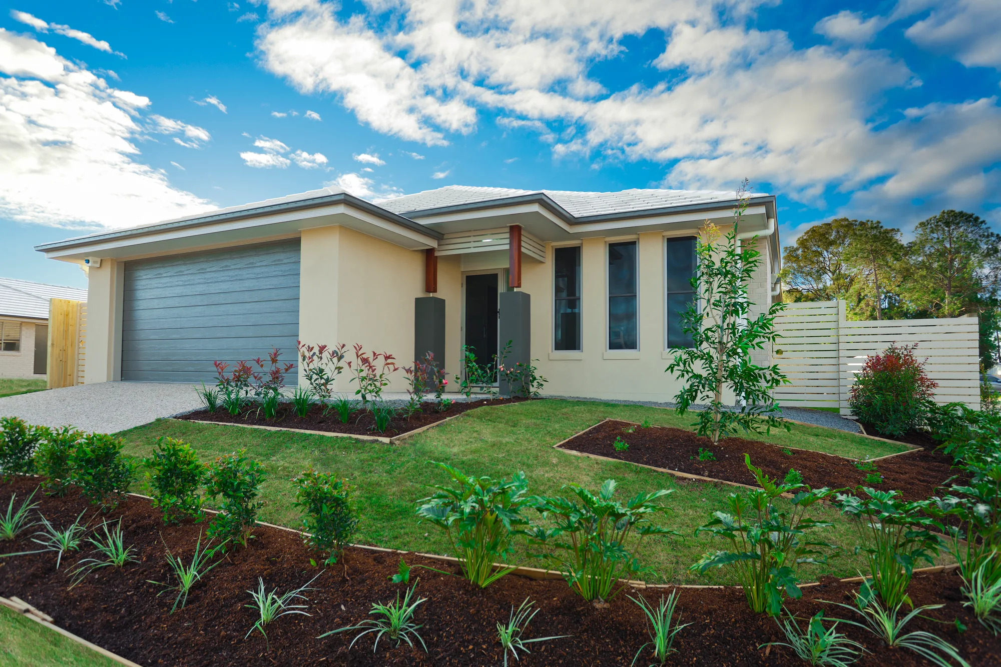 Established garden with lawn and mature plantings