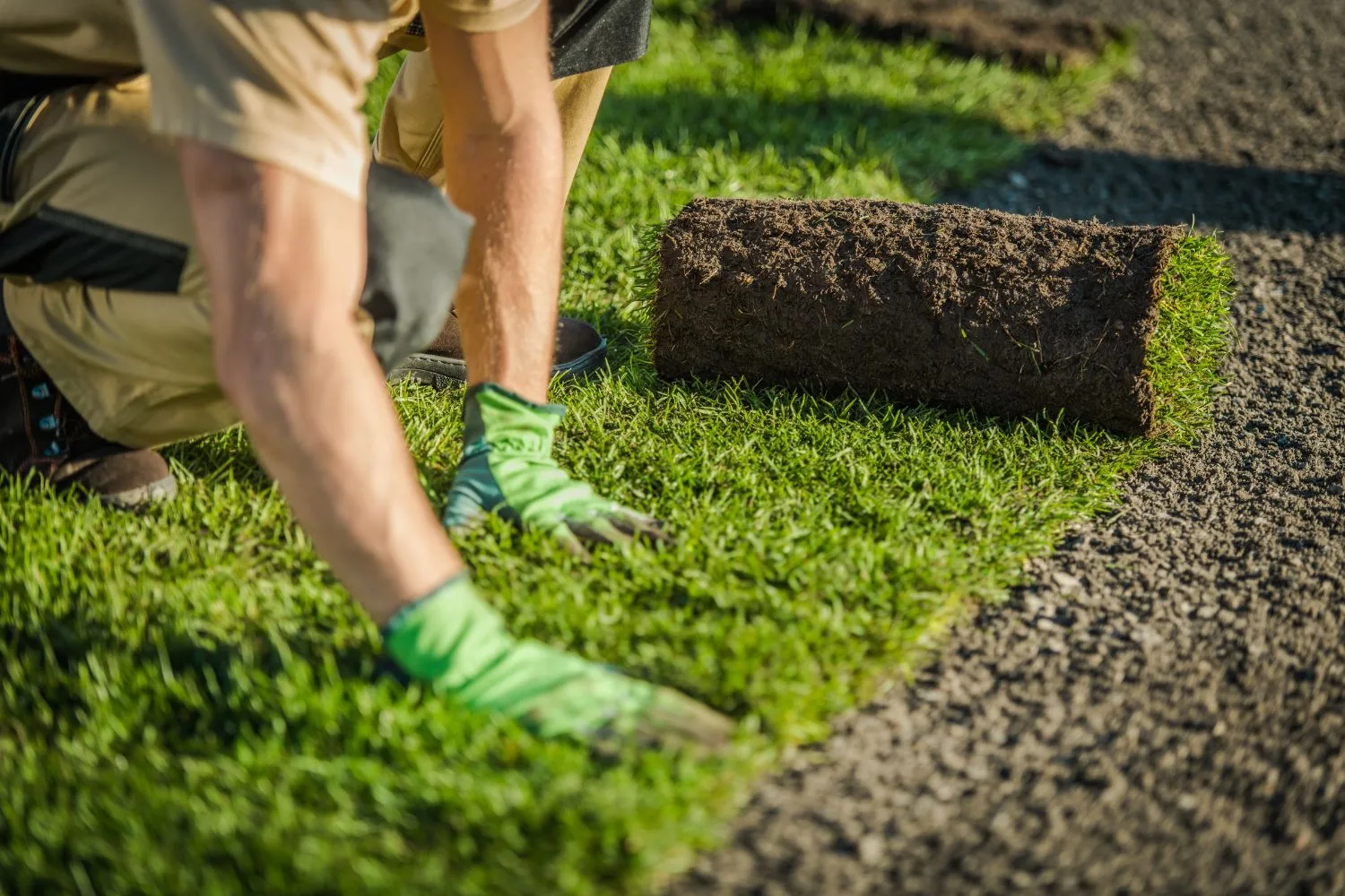 Freshly laid turf rolls during lawn installation