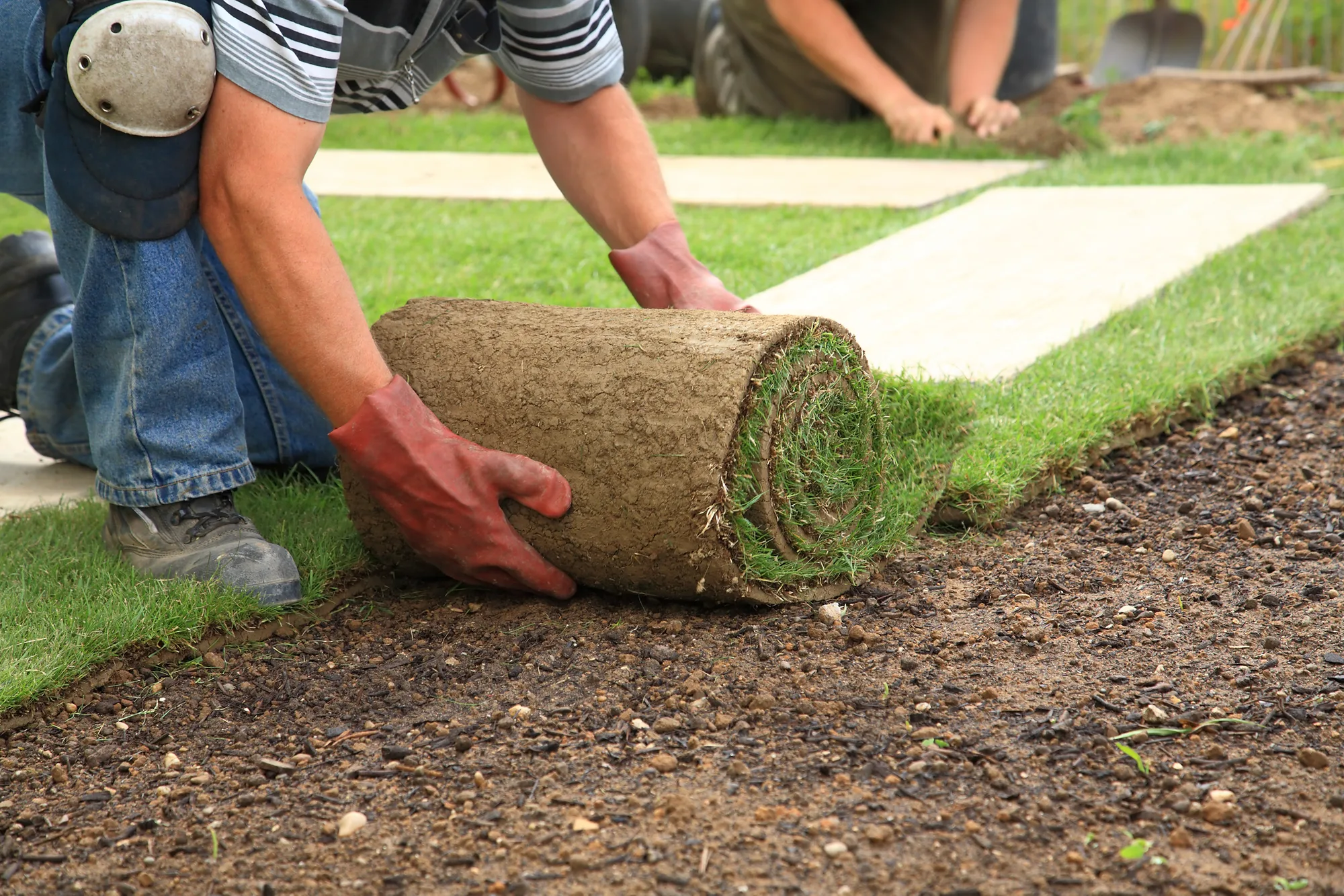 Freshly laid turf and lawn edging on a family backyard